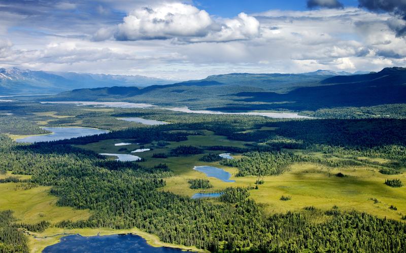 Alpine lakes and forest in Denali National Park, Alaska