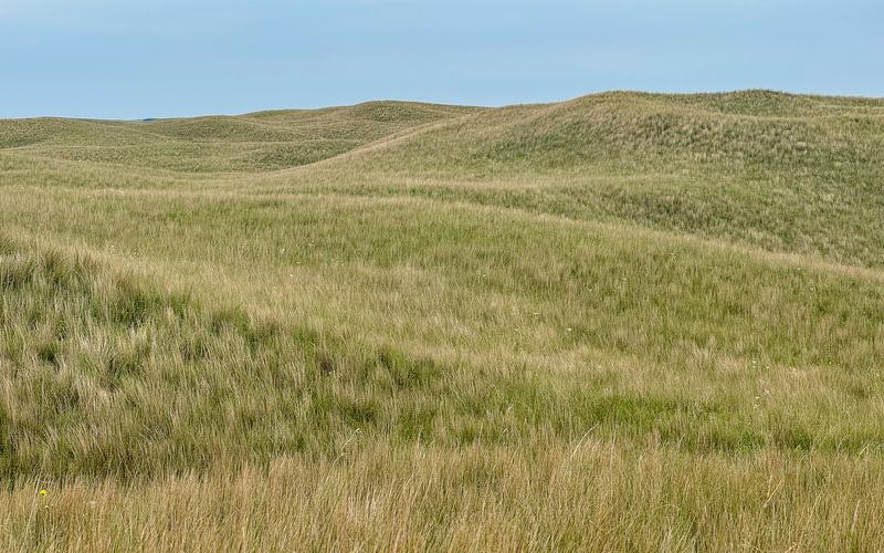 Sand hills grassland near Seneca, Nebraska