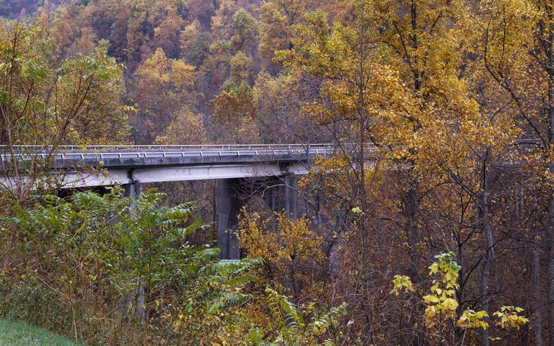 Autumn colour along the Blue Ridge Parkway, North Carolina