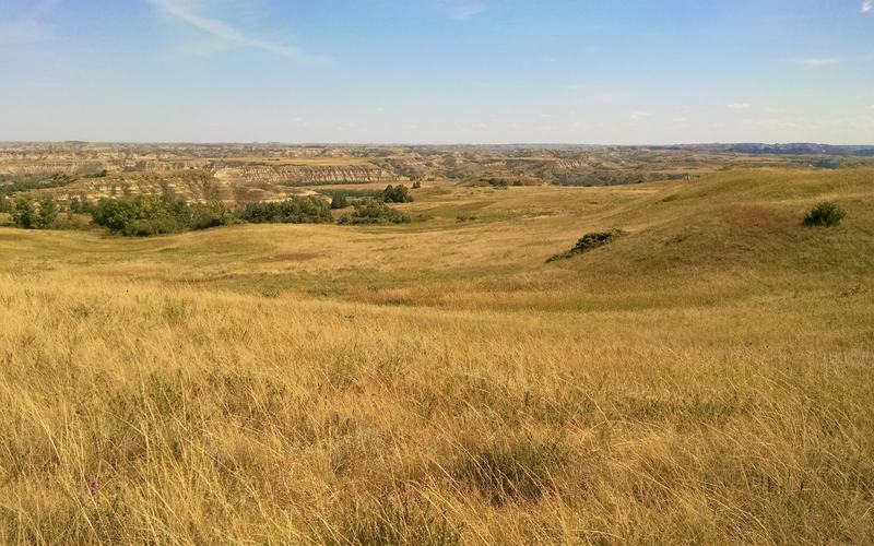 Rolling prairie in the Dakota Prairie Grasslands, North Dakota