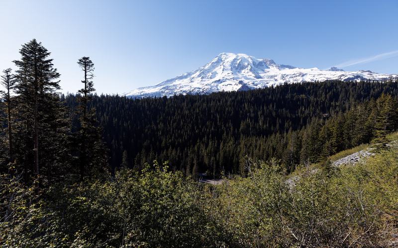 Mount Rainier above subalpine meadow, Mount Rainier National Park, Washington