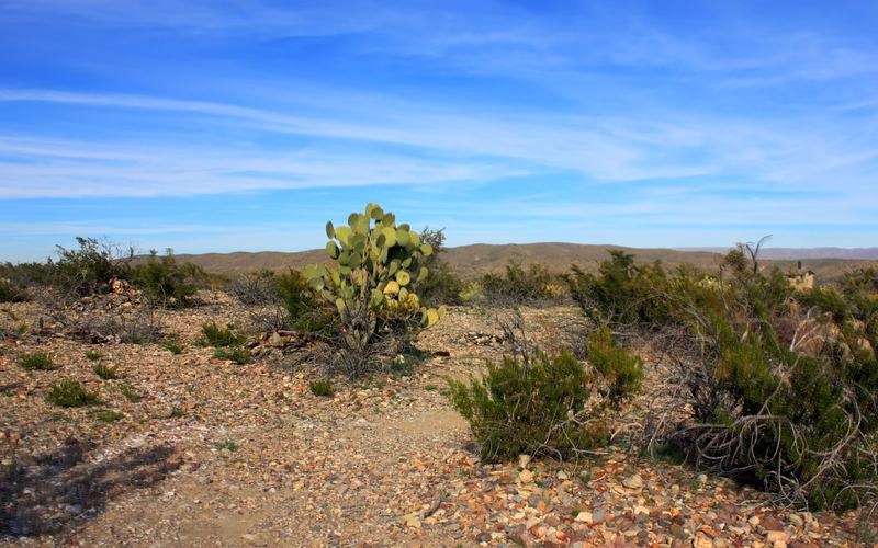 Desert horizon in Big Bend National Park, Texas